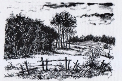 40
