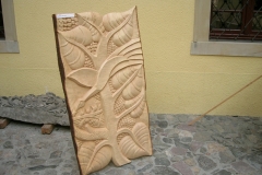 DSCN2629
